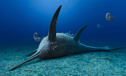 Fossil Discovery of 'Sword Dragon' Illuminates Early Jurassic Marine Life