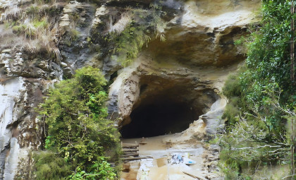 New Zealand Cave Unlocks 16 Unique Fossil Species Hidden for Over a Million Years