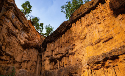 Ancient Petroglyphs Unearthed in Remote Venezuelan Canyon Rewrite History