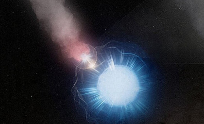 Tiny Carbon Dust Grains Emanate from Massive Dying Stars in Binary System WR 112