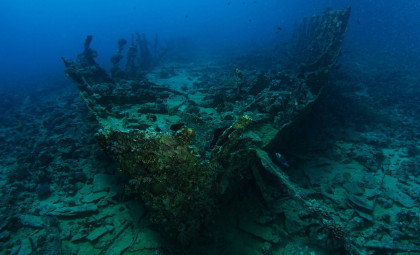 Researchers Analyze Two 170-Year-Old Beer Bottles Recovered from Finnish Shipwreck