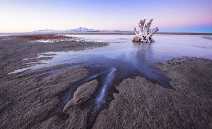 Newly Identified Tiny Creatures Reside Within the Salty Sediments of Great Salt Lake