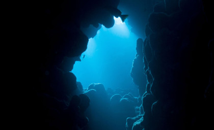 Scientists Uncover Origins of Enormous Canyon Hidden Beneath the Atlantic Ocean