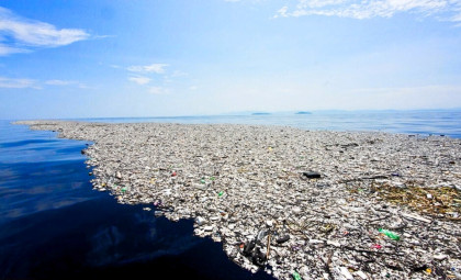 The Great Pacific Garbage Patch: A New Habitat Amidst Ocean Plastic Pollution