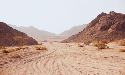 Researchers Discover Unexpected Life Form Thriving Beneath Earth’s Driest Desert
