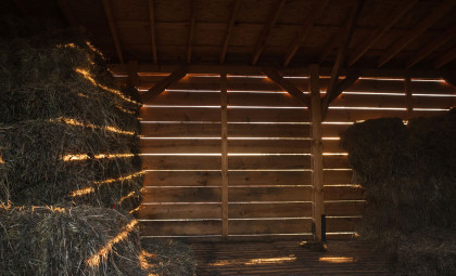Ancient Bronze Age Spearhead Mold Unearthed in Czech Village Barn