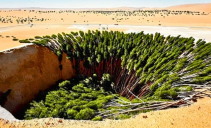 China Completes Vast Tree Barrier Around Taklamakan Desert, Transforming Arid Borders into a Carbon Sink
