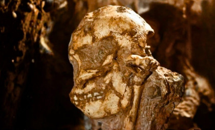 Researchers Digitally Rebuild the Face of 3.67-Million-Year-Old Little Foot Fossil