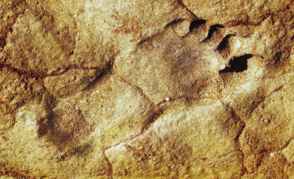 Ancient Human Footprints Reveal Early Presence in Arabian Desert 120,000 Years Ago