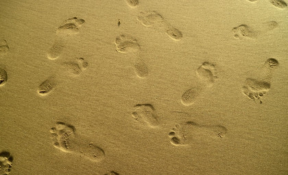 Ancient Human Footprints Uncovered on Remote Canadian Island Reveal Coastal Activity