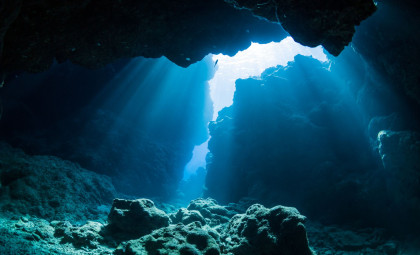 Reviving 7,000-Year-Old Baltic Sea Algae from Deep-Sea Sediments