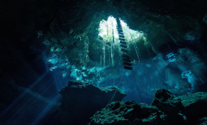 Underwater Cave Yields Largest Known Trove of Extinct Caribbean Monkey Fossils