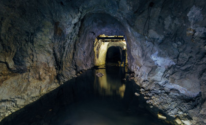 Underwater Texas Cave Unveils Vast Prehistoric Fossil Repository