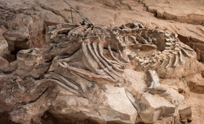 Paleontologists Uncover Giant 7,000-Pound Dinosaur With Skin Preserved