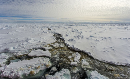 Mysterious Radio Pulses from Antarctica Challenge Known Physics Models