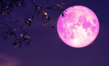 Experience the Stunning April 2026 Pink Moon and Its Rare Celestial Alignment