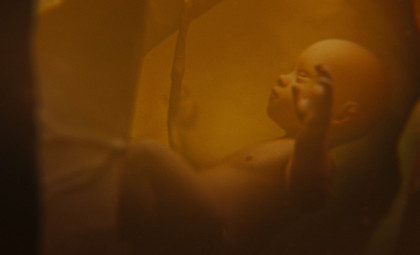 New Research Reveals Challenges of Conceiving and Developing Babies in Space