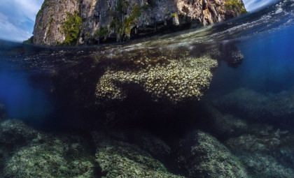 Ancient Submerged Land in Indonesia Sheds Light on Homo Erectus Lifestyle and Mobility