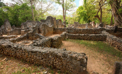Ancient Maya Marketplaces Unearthed in Jungle Reveal Complex Trade Networks