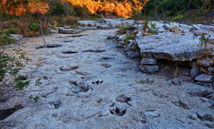 New Dinosaur Footprint Discovery in Alberta Reveals Multi-Species Movement