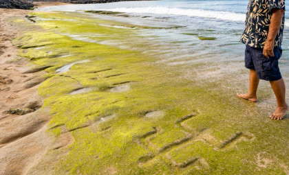 Ancient Hawaiian Petroglyphs Resurface on Waianae Coast After Years Buried in Sand