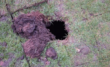 Centuries-Old Wine Cellar Discovered Beneath Manchester Golf Course Sinkhole