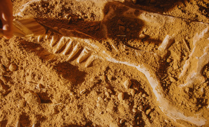 Newly Discovered 10-Meter Dinosaur Skull Sheds Light on Jurassic Giants in China