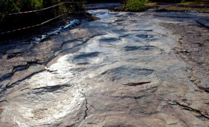 World’s Longest Sauropod Trackway Unveiled in France’s Jura Mountains