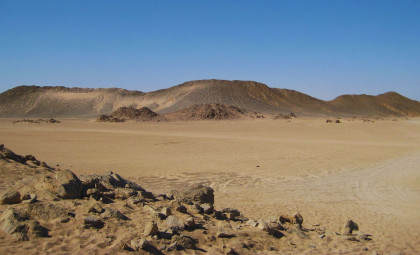 Ancient Ape Fossil in Northern Egypt Challenges Traditional Views on Human Evolution