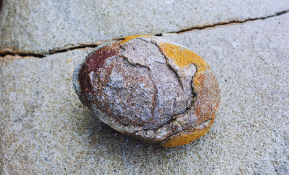 Discovery of 190-Million-Year-Old Dinosaur Embryos Reveals Preserved Proteins