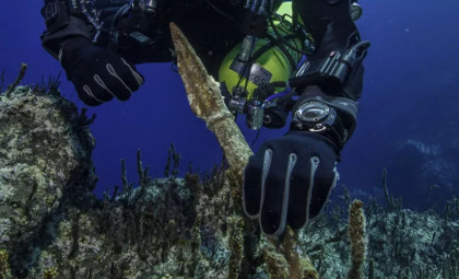 Diving Beneath the Waves: Over 50 Well-Preserved Artifacts Unearthed from the Ancient Antikythera Shipwreck