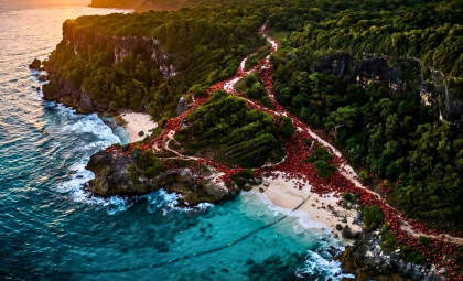 Google’s New Subsea Cable Faces Unique Challenge from Christmas Island’s Red Crab Migration