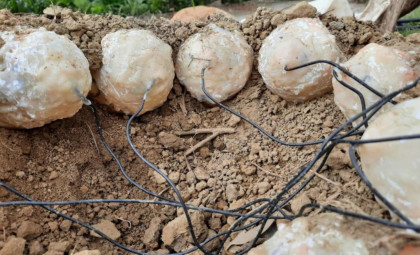 Taiwanese Researchers Recreate Life-Size Dinosaur Nest to Uncover Egg Incubation Secrets