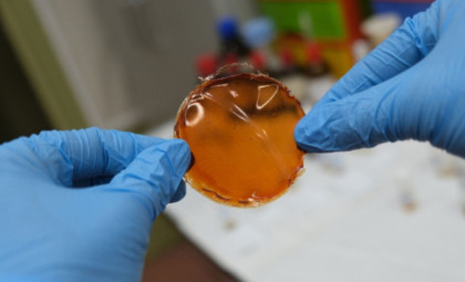 Innovative Membrane Technology Slashes Hydrogen Purification from Days to Hours
