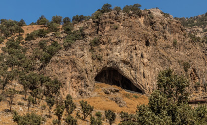 Exceptional 50,000-Year-Old Neanderthal Infant Sheds Light on Early Development Patterns