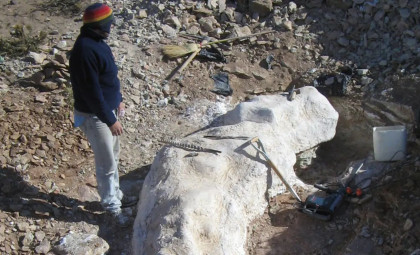 Shepherd Uncovers 20-Meter Dinosaur in Patagonia with Unique Evolutionary Traits