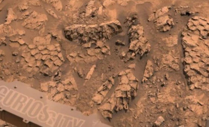 Curiosity Rover Uncovers Intriguing Scale-Like Rock Features Across Mars