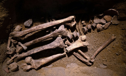 Ancient Fossils in Japan Once Thought Human Are Actually Bear Bones, New Study Reveals