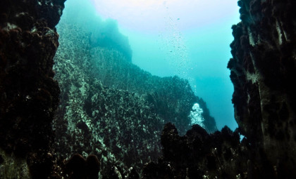 Unexpected Animal Life Discovered Deep Within Ocean Crust at 2,500 Meters
