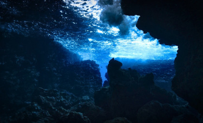 Panama’s Crucial Ocean Upwelling Fails for First Time in Four Decades, Disrupting Marine Life