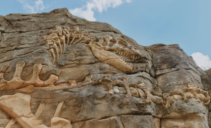 Massive 92-Foot Dinosaur Unearthed During Construction Work in China