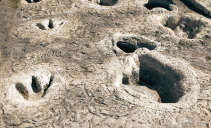Rare 106-Million-Year-Old Pterosaur Footprints Unearthed in South Korea Reveal Possible Ground Behavior