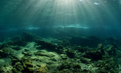 Isolated Lake in Palau Harbors Unique Millions-Strong Jellyfish Species