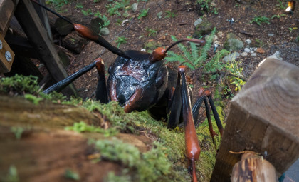 New Research Questions Oxygen’s Role in the Gigantic Size of Ancient Insects
