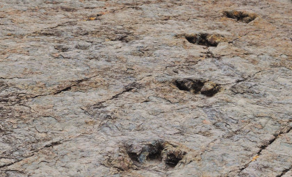 Bolivia's Carreras Pampa Reveals Largest Dinosaur Footprint Collection with Nearly 18,000 Tracks