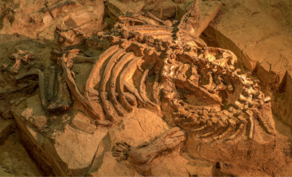 Colossal 90-foot Dinosaur Unearthed in Thailand, Largest in Southeast Asia