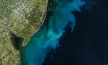 Gigantic Blue-Green Phytoplankton Swirls Off U.S. East Coast Captured by NASA Satellites
