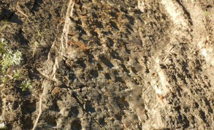 Alaskan Cliff Reveals Extensive Dinosaur Footprint Site Discovered at Dusk