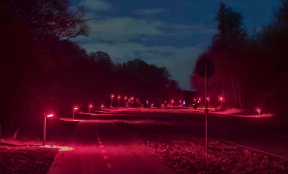 Denmark Innovates with Red Streetlights to Protect Bats and Enhance Urban Ecology