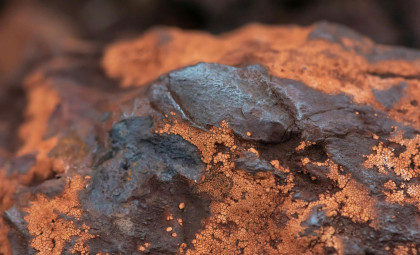 Scientists Investigate Unusual Microscopic Fossils Found in Meteorite Fragment